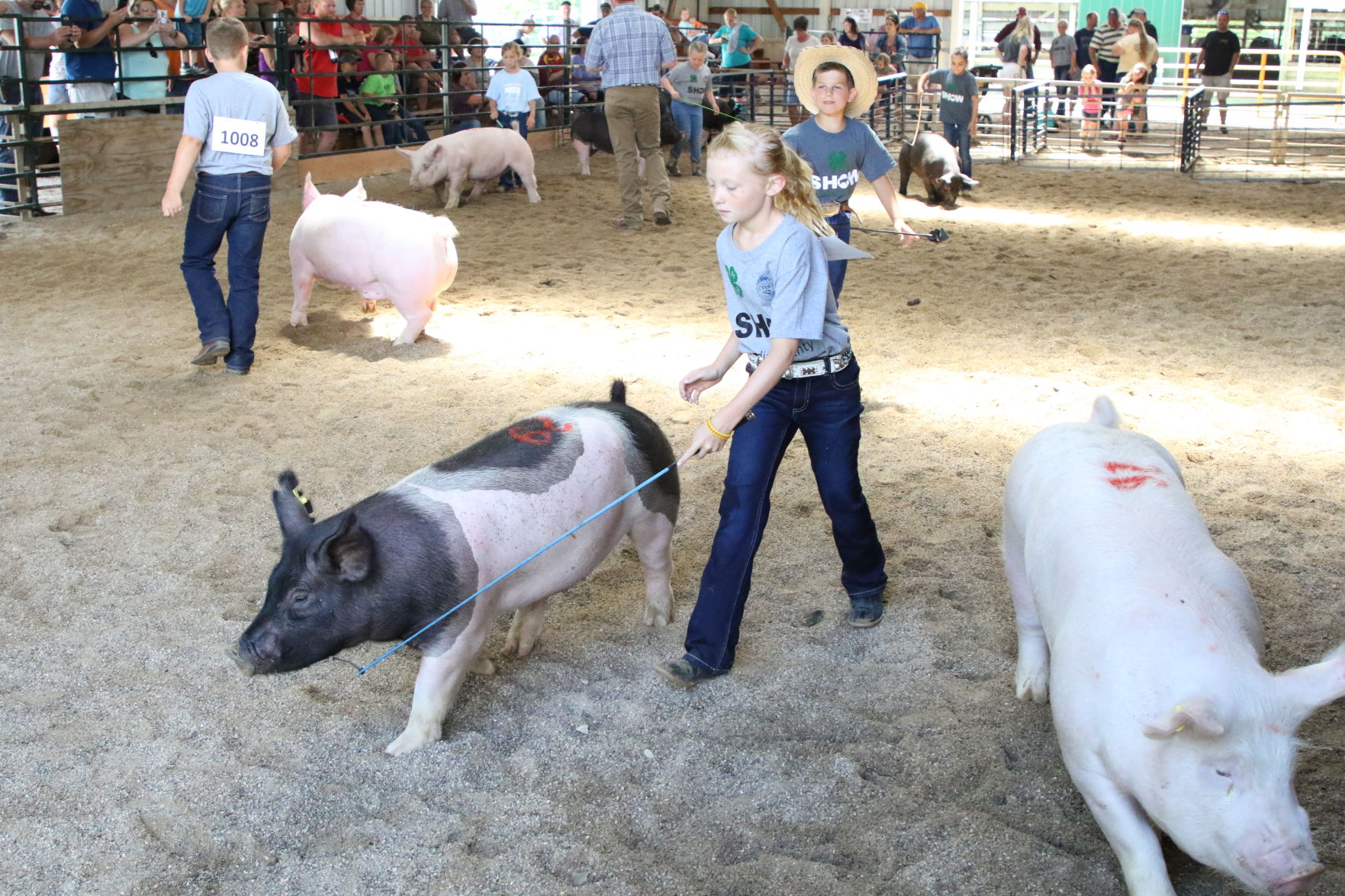 Pig Show (5).JPG
